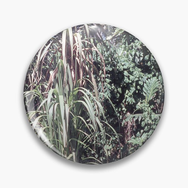 Item preview,  Vintage Papua New Guinea - Sugar Cane designed and sold by BGPickers.