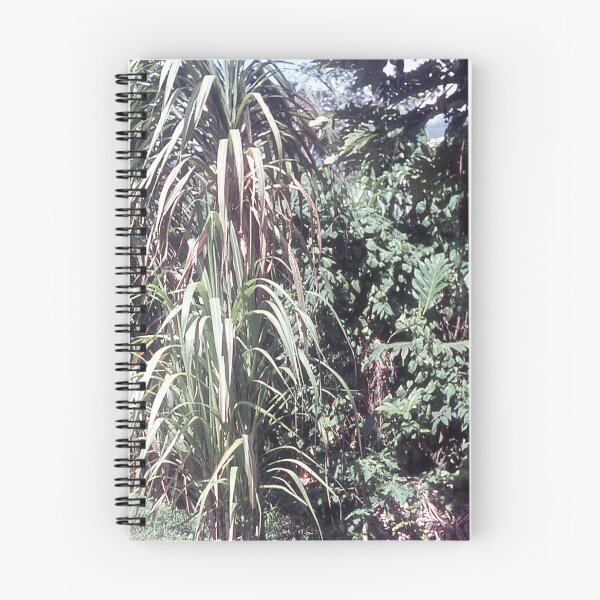 Item preview,  Vintage Papua New Guinea - Sugar Cane designed and sold by BGPickers.