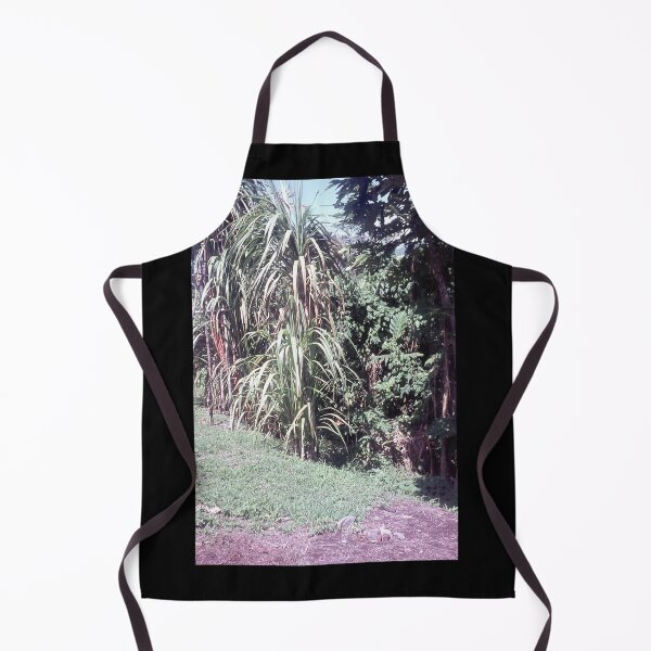 Item preview, Vintage Papua New Guinea - Sugar Cane designed and sold by BGPickers.
