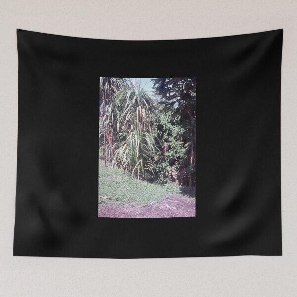 Item preview,  Vintage Papua New Guinea - Sugar Cane designed and sold by BGPickers.