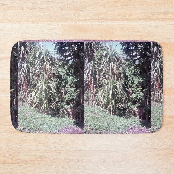 Item preview,  Vintage Papua New Guinea - Sugar Cane designed and sold by BGPickers.