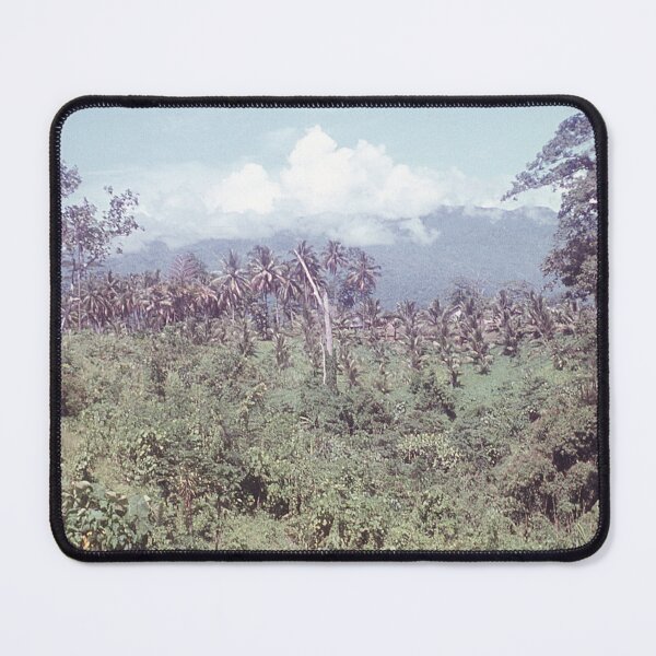 Item preview, Vintage Papua New Guinea - Young Coconuts designed and sold by BGPickers.