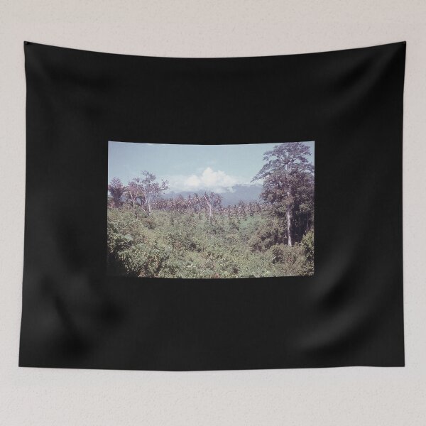 Item preview, Vintage Papua New Guinea - Young Coconuts designed and sold by BGPickers.