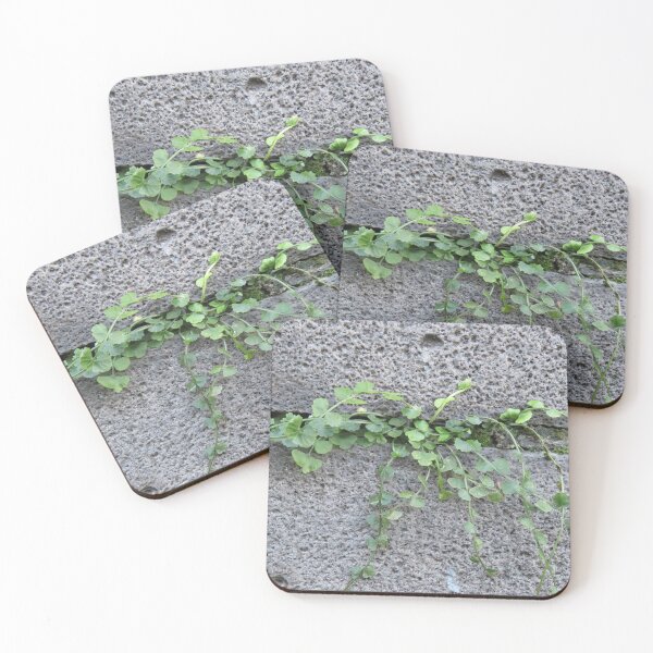Item preview, Fern on a wall  designed and sold by greentiger1.