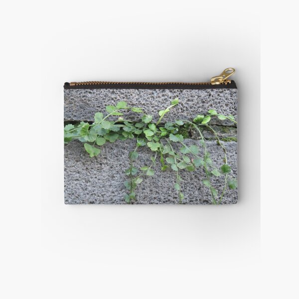 Item preview, Fern on a wall  designed and sold by greentiger1.