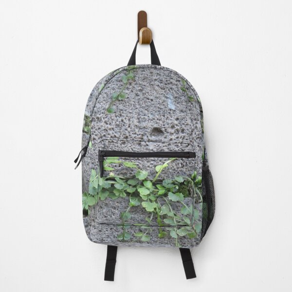 Item preview, Fern on a wall designed and sold by greentiger1.