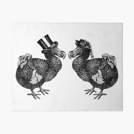 Mr and Mrs Dodo | Dodo Couple | Vintage Dodos | Black and White |  Art Board Print