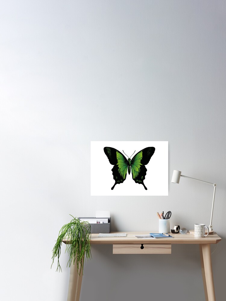 Wall decoration PC- Green Butterflies