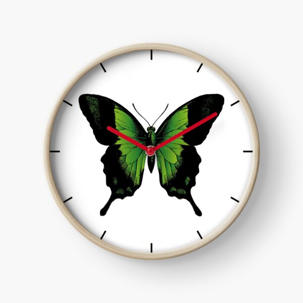 Green Butterfly | Vintage Butterfly | Green and Black | Clock