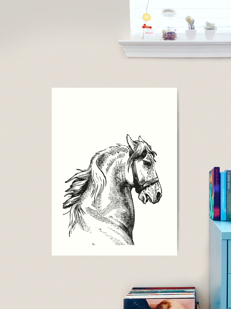 Vintage Horse, Horse Head, Black and White,  Art Print for Sale by  EclecticAtHeART