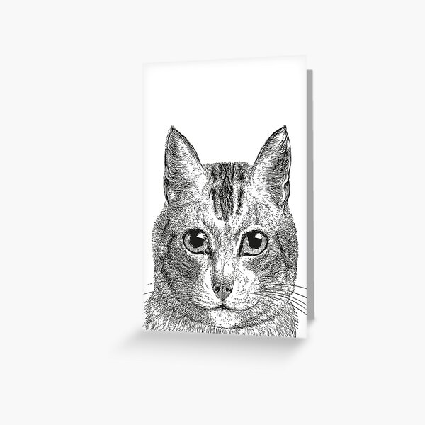 Cat | Black and White | Greeting Card