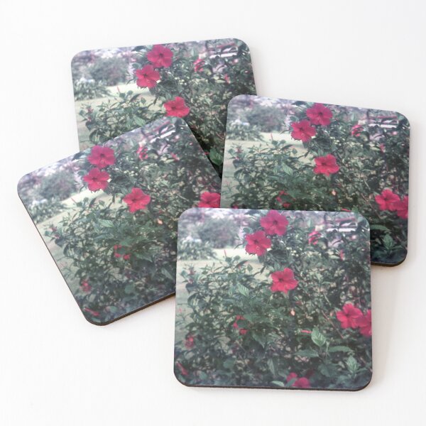 Item preview, Vintage Papua New Guinea - Hibiscus  designed and sold by BGPickers.