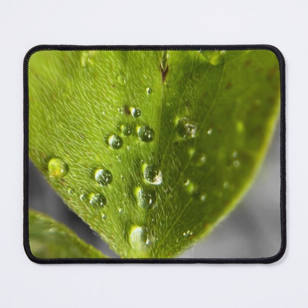 Item preview, Near Heart-Shaped Macro Leaf designed and sold by MyMacro_Photography (MyMacro).