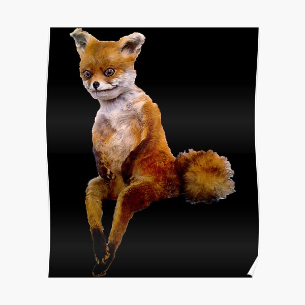 Stoned Fox Posters For Sale Redbubble