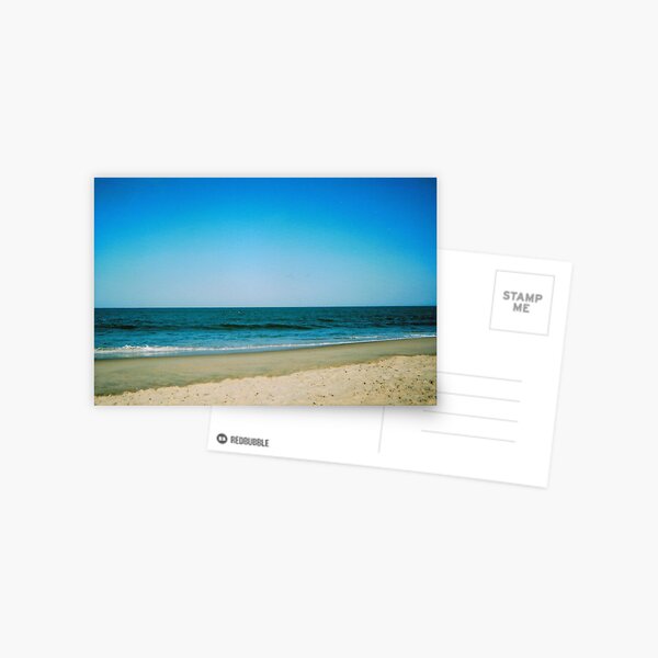 CAROLINA SUNDAY Postcard