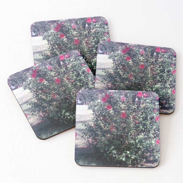 Item preview,  Vintage Papua New Guinea - Hibiscus  designed and sold by BGPickers.