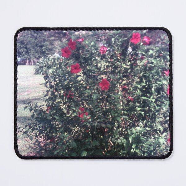 Item preview, Vintage Papua New Guinea - Hibiscus designed and sold by BGPickers.