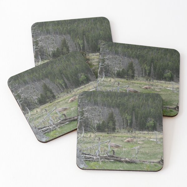 Item preview, Logs, Trees, Meadow designed and sold by Haley-Marshall.