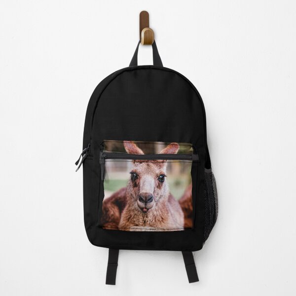 Item preview, ANIMALS #41 - Cute Kangaroo Close-up designed and sold by DEL-Productions.
