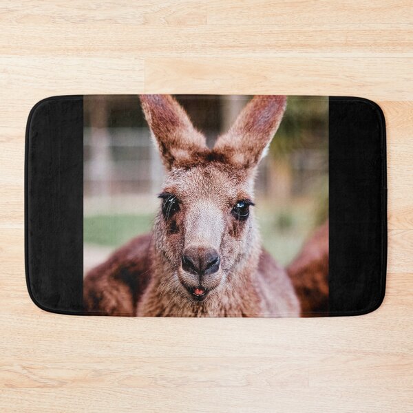 Item preview, ANIMALS #41 - Cute Kangaroo Close-up designed and sold by DEL-Productions.