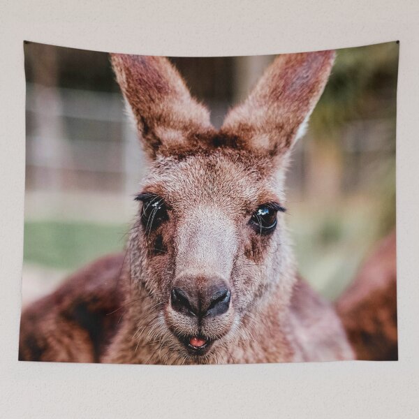 Item preview, ANIMALS #41 - Cute Kangaroo Close-up designed and sold by DEL-Productions.