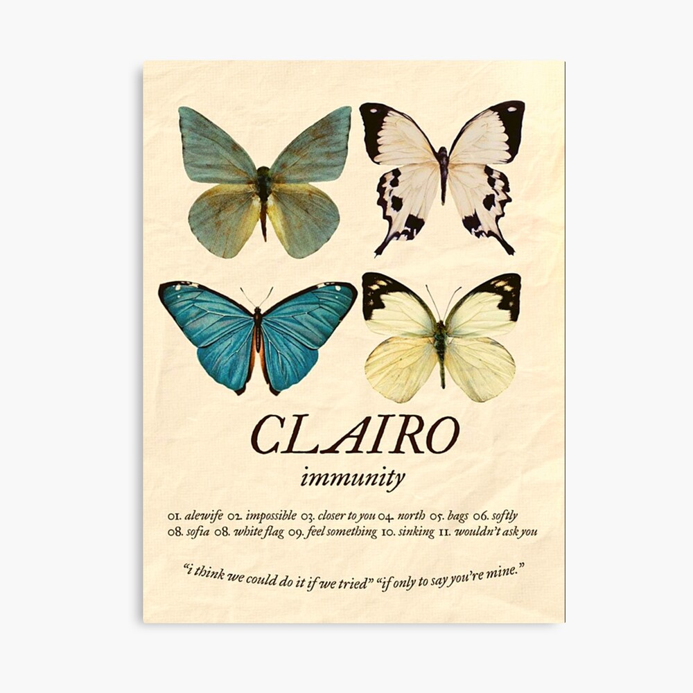 Clairo Immunity Classic Poster