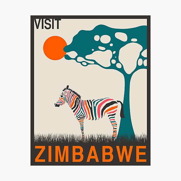 African Zebra Wall Art for Sale