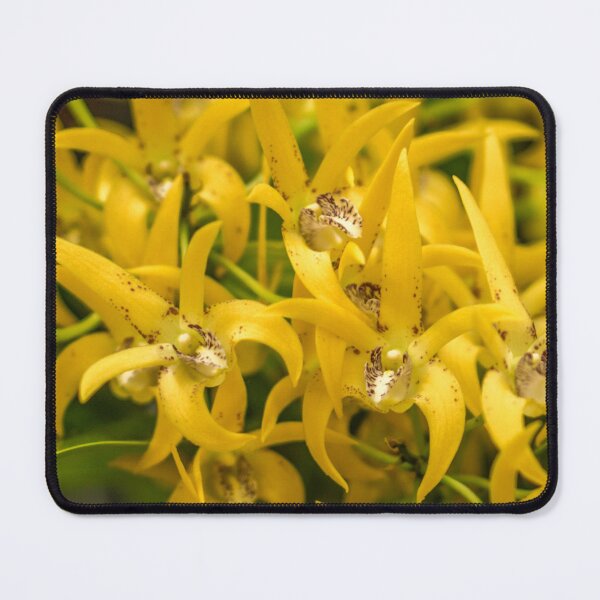 Item preview, Spikey Yellow Orchids designed and sold by Steven Jodoin.