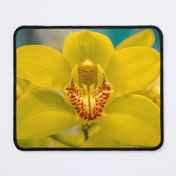 Item preview, The Yellow Orchid designed and sold by Steven Jodoin.