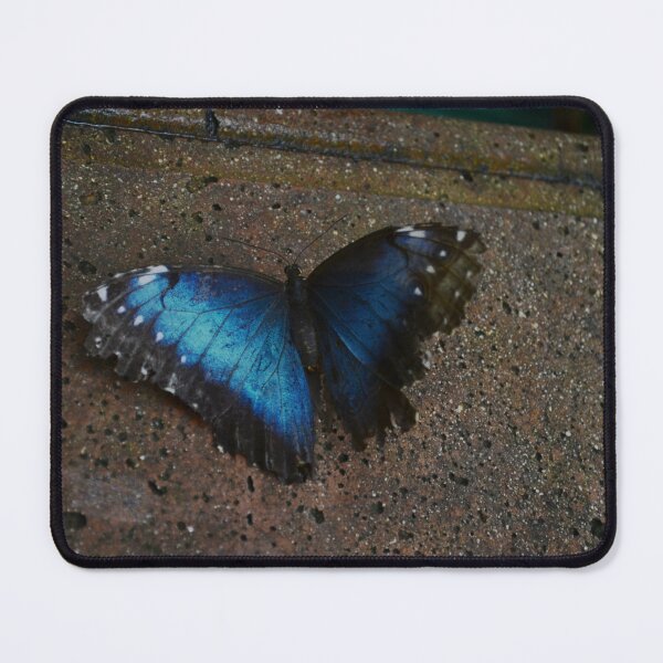 Item preview, Blue Butterfly designed and sold by teacup21.