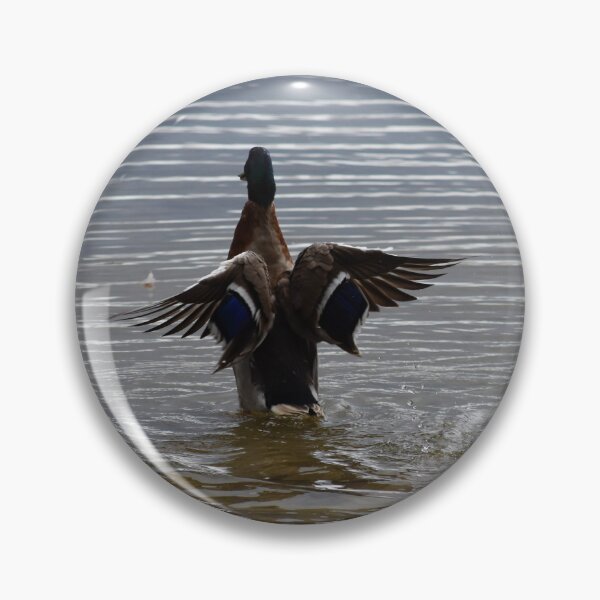 Item preview, Duck Bath Time in Green Point NSW Central Coast of Australia designed and sold by suziq1962.