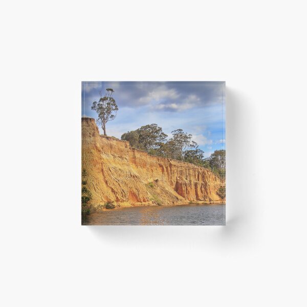 Item preview, 0447 Riverbank - Mitchell River designed and sold by Hans Kawitzki.