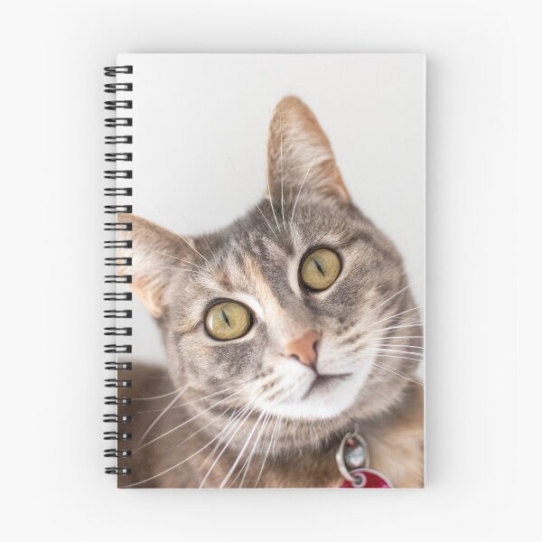 Item preview, Tortoiseshell Cat designed and sold by suziq1962.