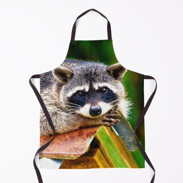 Item preview, ANIMALS #35 - Adorable Bandit Raccoon designed and sold by DEL-Productions.