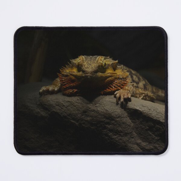 Item preview, Bearded Dragon 1 designed and sold by teacup21.