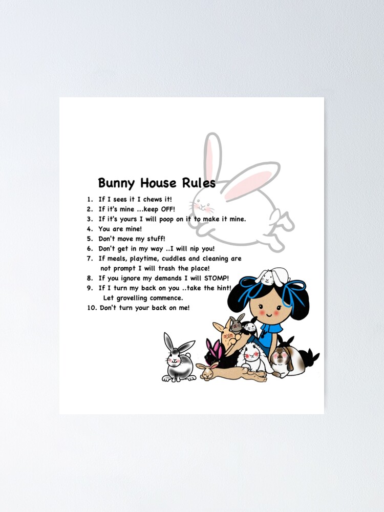"Bunny Rabbit House Rules Tshirts Decor Funny Cartoon" Poster for Sale by Cartoonistlg Redbubble