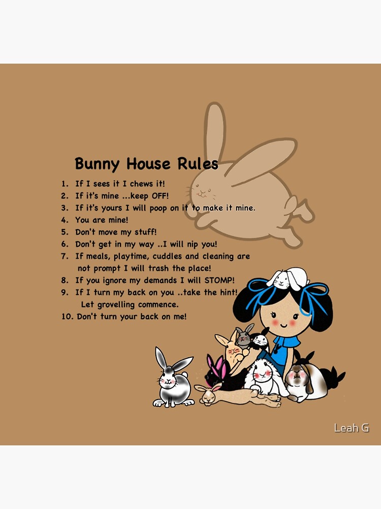 "Bunny Rabbit House Rules Tshirts Decor Funny Cartoon" Throw Pillow for Sale by Cartoonistlg