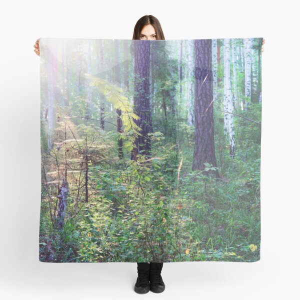 Sunny morning in the forest Scarf