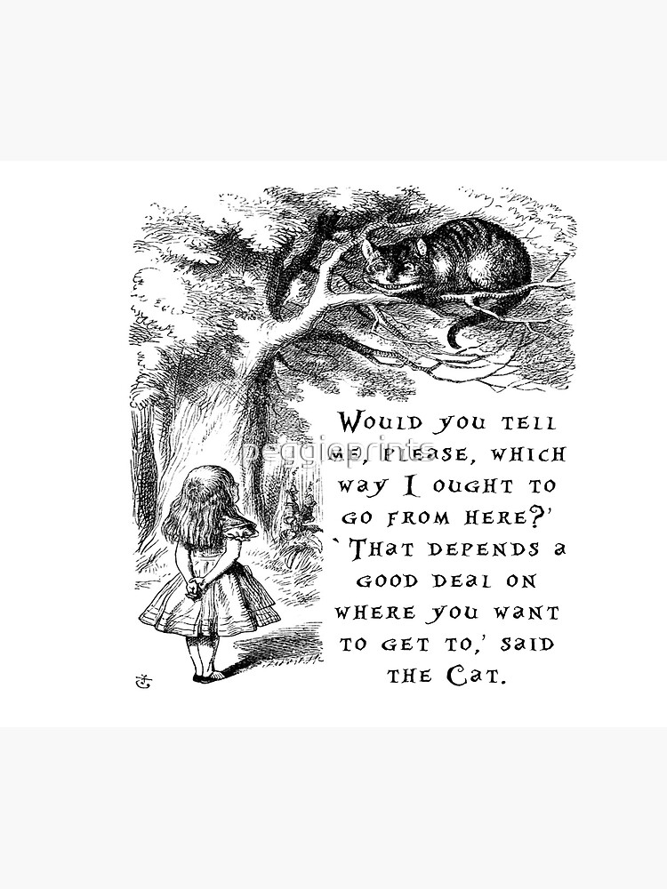 "Which way should I go?" Poster for Sale by peggieprints Redbubble