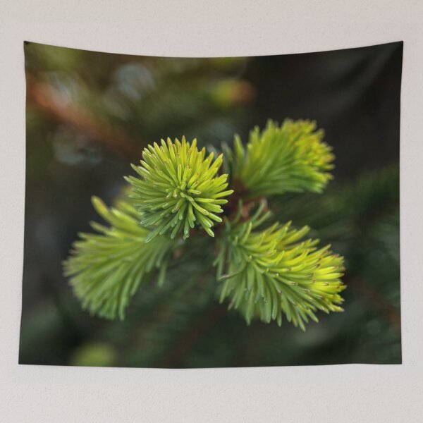 Item preview, New Growth pine needles designed and sold by Roger Porter Photography.