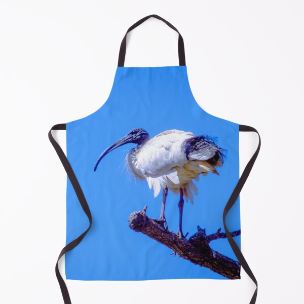 Item preview, The Australian White Ibis designed and sold by Steven Jodoin.