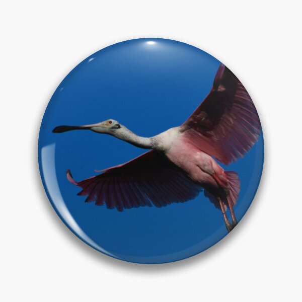 Item preview, Roseate Spoonbill in Flight designed and sold by richardbryce.