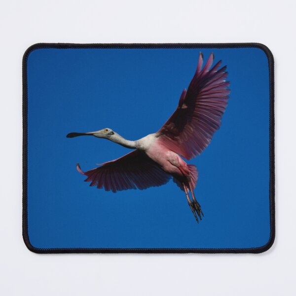 Item preview, Roseate Spoonbill in Flight designed and sold by richardbryce.