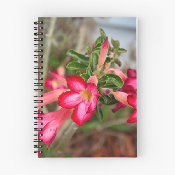 Item preview, Cactus Rose designed and sold by wolftinz.