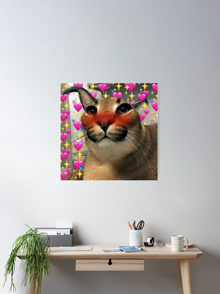 Love Floppa