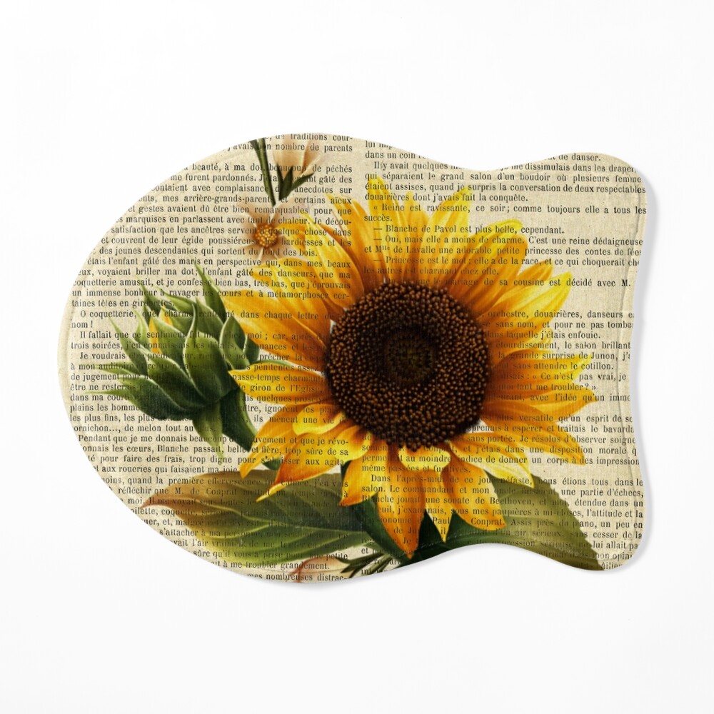 Botanical print, on old book page - Sunflower