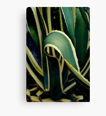 Spike Canvas Print
