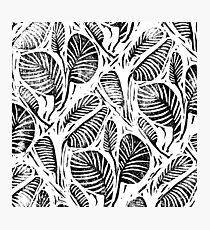 Lámina fotográfica Jungla - Hojas tropicales