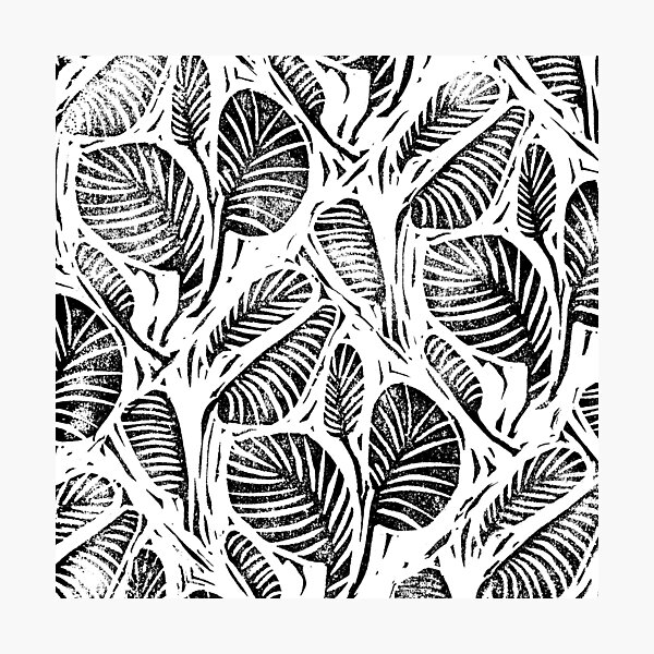 Jungle - Tropical leaves Photographic Print