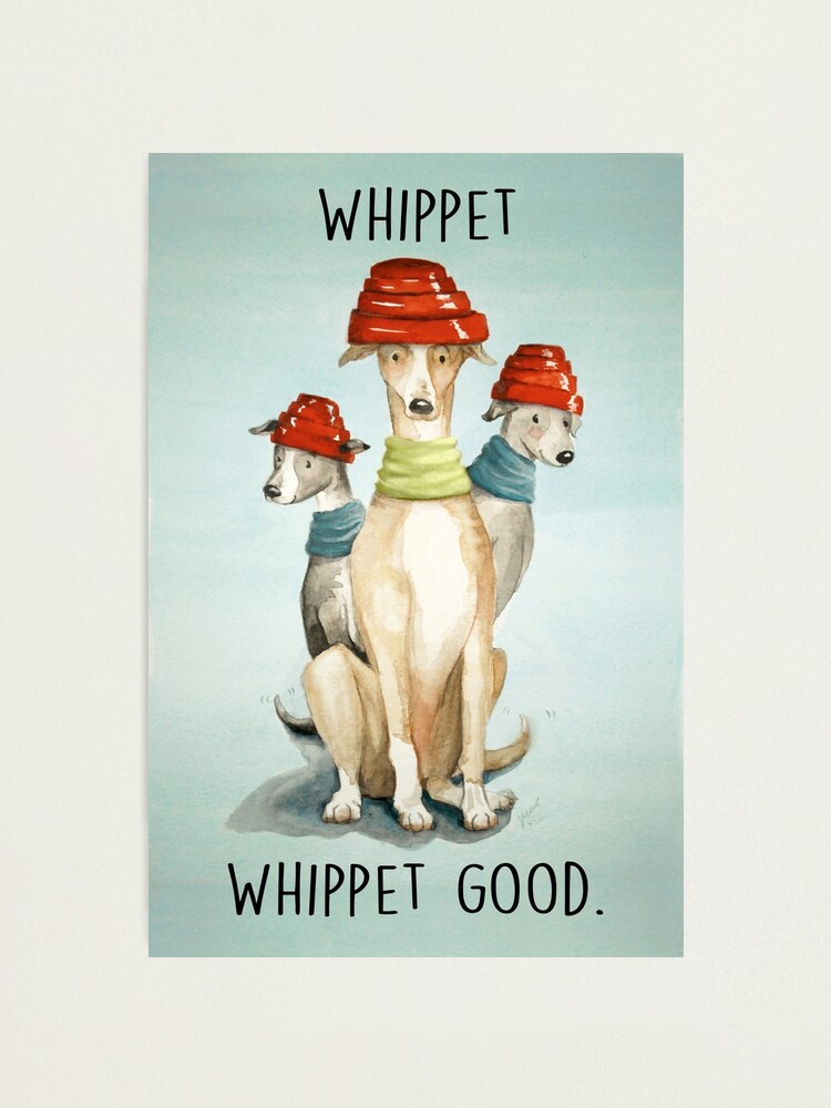 Alternate view of Devo Dogs Photographic Print